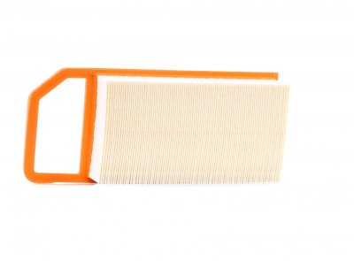 PURFLUX Filtre a  air  A1180 (X1)