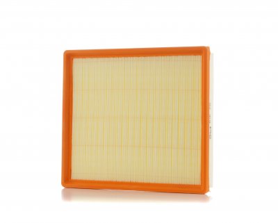 PURFLUX Filtre a  air  A1190 (X1)