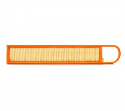 PURFLUX Filtre a  air  A1273 (X1)