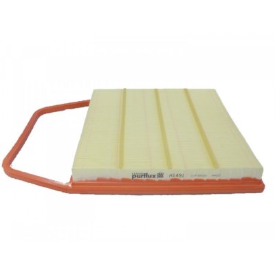 PURFLUX Filtre a  air  A1491 (X1)