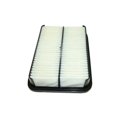 PURFLUX Filtre a  air  A1625 (X1)