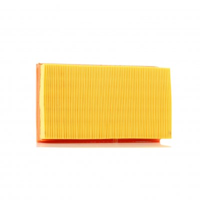 PURFLUX Filtre a  air  A762 (X1)