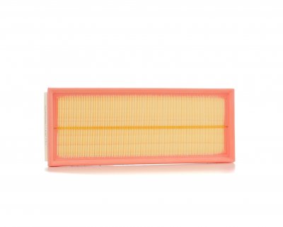 RIDEX Filtre a  air  8A0004 (X1)