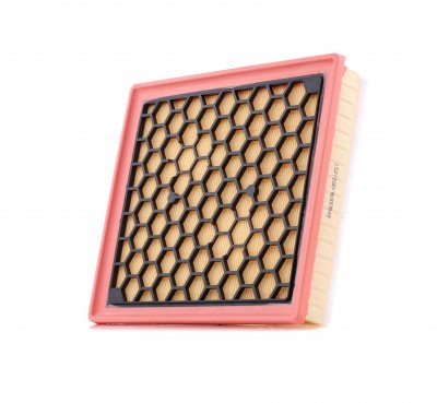 RIDEX Filtre a  air  8A0261 (X1)