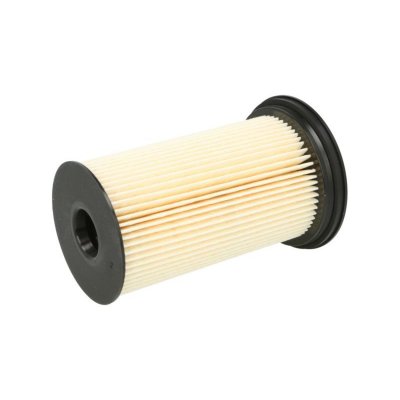 FILTRON Filtre a  carburant  PE 970 (X1)