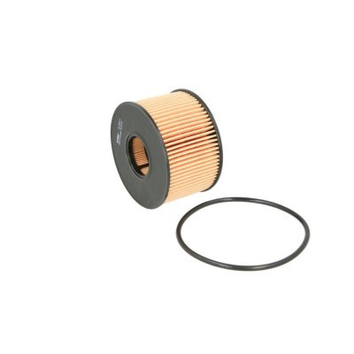 FILTRON Filtre a  huile  OE 665/1 (X1)