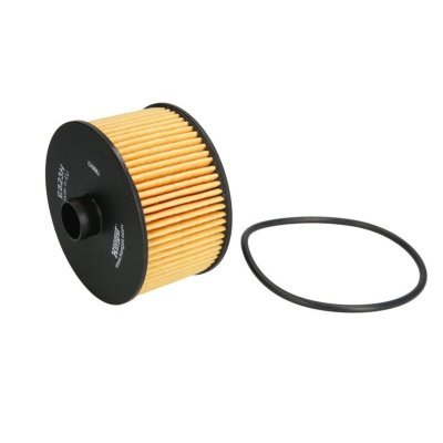 HENGST Filtre a  huile  FILTER E823H D263 (X1)