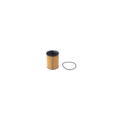 PURFLUX Filtre a  huile  L1071 (X1)