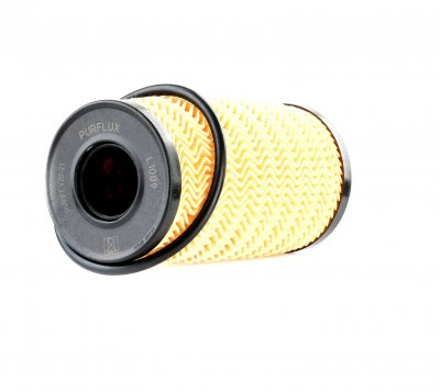 PURFLUX Filtre a  huile  L1089 (X1)