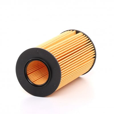 PURFLUX Filtre a  huile  L306 (X1)