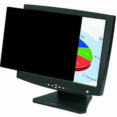 FELLOWES Filtre De Confidentialit&eacute; Pour Ordinateur 24