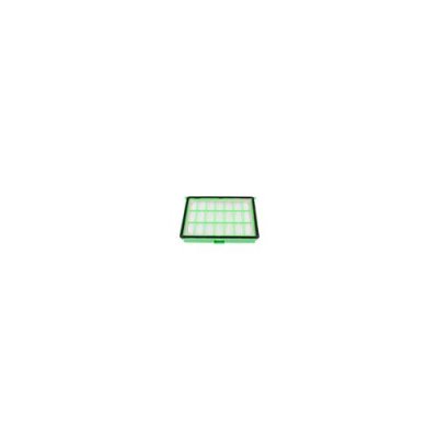 MOULINEX Filtre hepa (101944-49667) Aspirateur ZR004501 