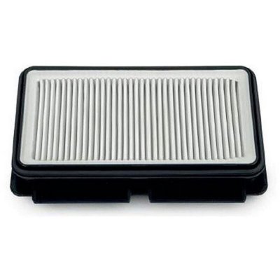 ROWENTA Filtre HEPA Aspirateur ZR902501 , TEFAL - 255105