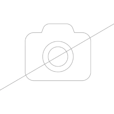 BOSCH Filtre Hepa Gris Pour Aspirateur 