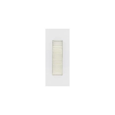FACKELMANN Filtre hepa pour aspirateur eio storm topfilter ref. 70596 70596