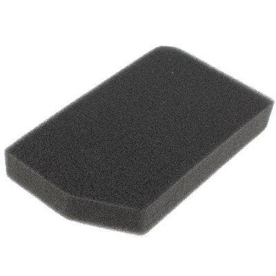 ROWENTA Filtre mousse rs-rt4042 pour Aspirateur 
