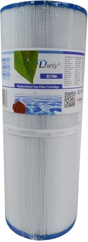 DARLLY Filtre pour Spa 40506 / PRB50-IN / C-4950 33,8 cm