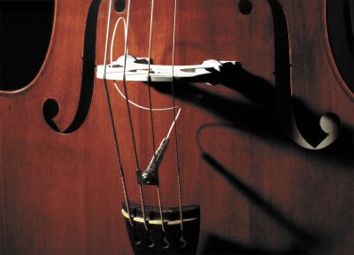 FISHMAN  Full Cirle format 1/4-20
