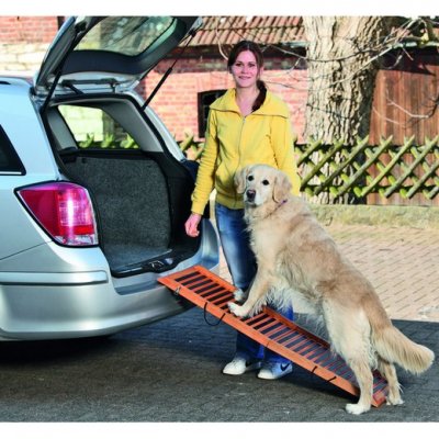 MORIN FLAMINGO Passerelle Pliable pour Chien 120 x 30 x 6 cm