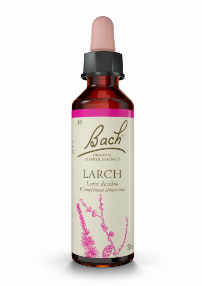 FLEURS DE BACH FLEUR DE BACH Original n&deg;19 Larch fleur de bach flacon 20ml