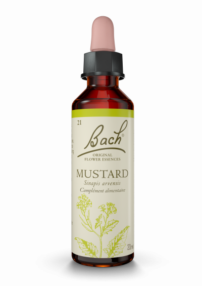 FLEURS DE BACH FLEUR DE BACH Original n&deg;21 Mustard  flacon 20ml