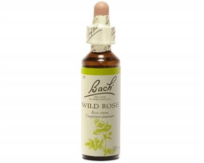 FLEURS DE BACH Fleur de Bach Wild Rose n&deg;37 - 20 ml