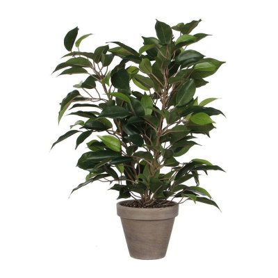 MICA DECORATIONS Fleur Plante Artificielle Ficus Natasja H40 cm - 