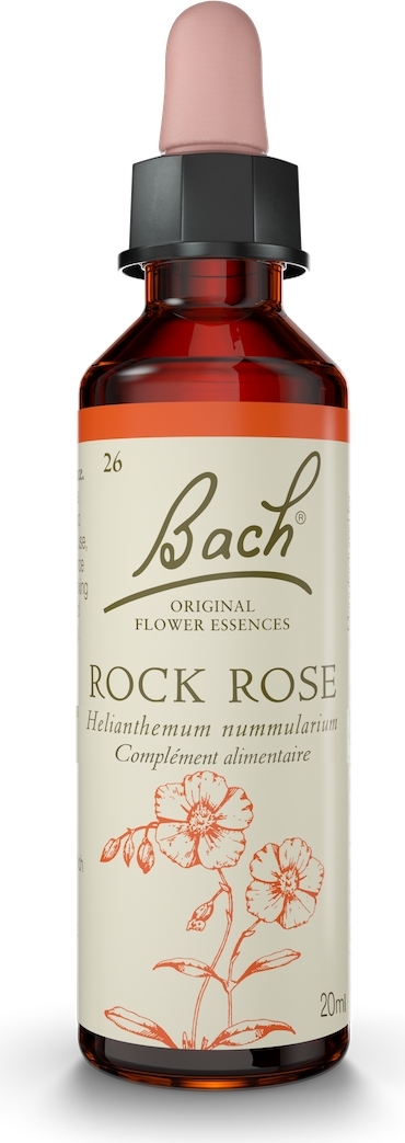 FLEURS DE BACH  Rock Rose n&deg;26, 20ml
