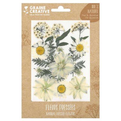  Fleurs press&eacute;es - Prairie - Blanc - 15 pcs - Graine Cr&eacute;ative - couleur variant