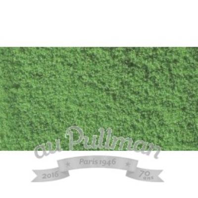 NOCH Flocage  07202 vert clair 20 g