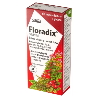 SALUS Floradix fer plus plantes 84 comprim&eacute;s 