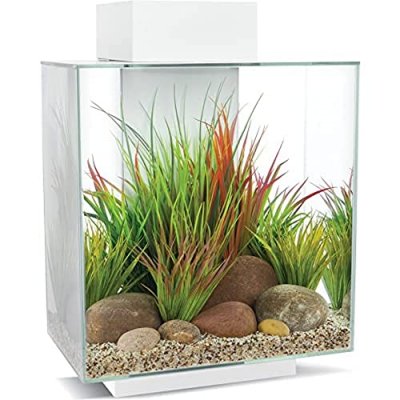 FLUVAL  Aquarium Edge 46 L - Blanc brillant 