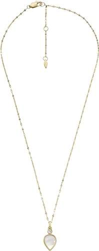 FOSSIL  Cha&icirc;nette JF04248710 Acier inoxydable