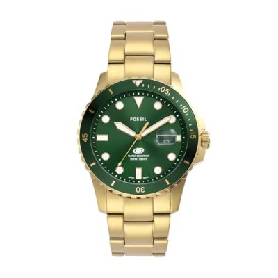 FOSSIL  Montre pour hommes  BLUE DIVE FS6030
