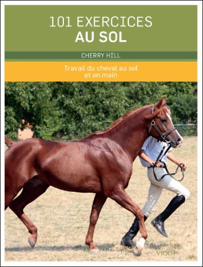 Fournisseur Cultura 101 Exercices Au Sol - Travail Du Cheval Au Sol Et En Main
