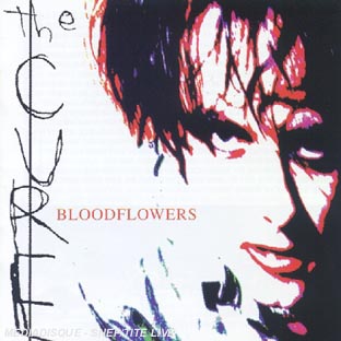 Fournisseur Cultura Bloodflowers