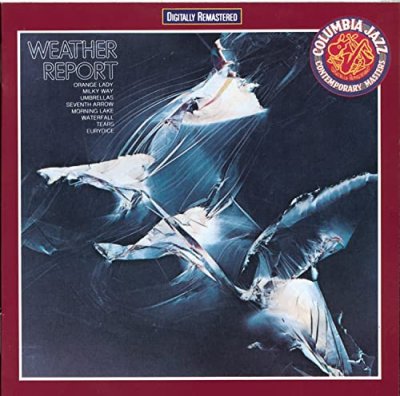 Fournisseur Cultura Weather Report