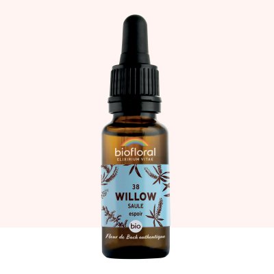 BIOFLORAL France Herboristerie FLEURS DE BACH n&deg;38 Willow, Saule