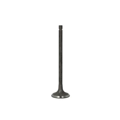 FRECCIA  Soupape d'&Eacute;chappement RENAULT,NISSAN R6604/RNT 13202EN200
