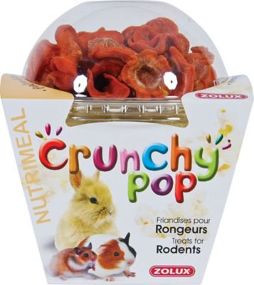  Friandise crunchy pop carotte 43g 