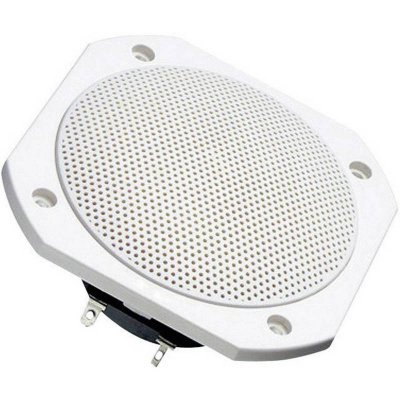 VISATON FRS 10 WP 8 OHM - Haut-parleur - 25 Watt - blanc