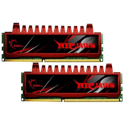 G.SKILL  GSKILL DIMM 8 GB DDR3-1066 Kit