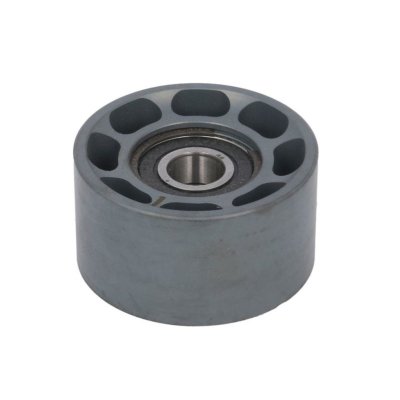 DAYCO Galet enrouleur de courroie d'accessoire  APV1051