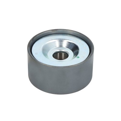 DAYCO Galet enrouleur de courroie d'accessoire  APV1092