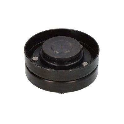 DAYCO Galet enrouleur de courroie d'accessoire  APV2624