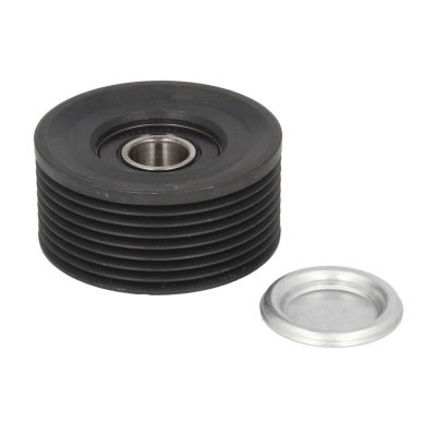 DAYCO Galet enrouleur de courroie d'accessoire  APV2703