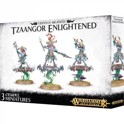 GAMES WORKSHOP  Tzaangor Enlightened
