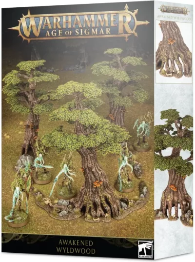 GAMES WORKSHOP  Warhammer AoS - Awakened Wyldwood 99120204023 Noir