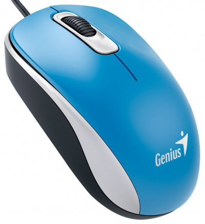 GENIUS  DX-110 souris USB Type-A Optique 1000 DPI Ambidextre