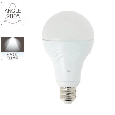 XANLITE Globe LED A60, cuLot E27, classique 